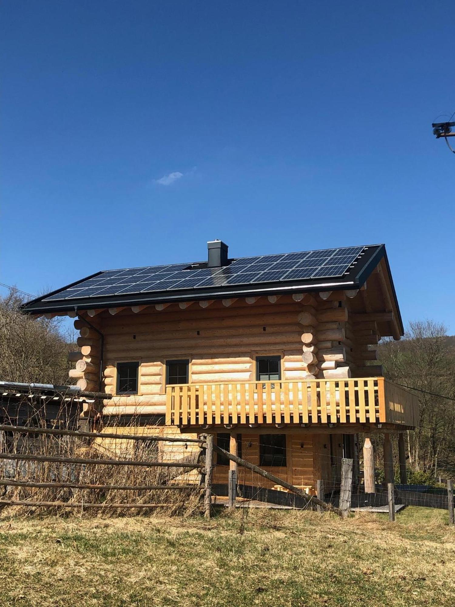 Fichtenhaus Am Wisentpfad Bad Berleburg Eksteriør billede